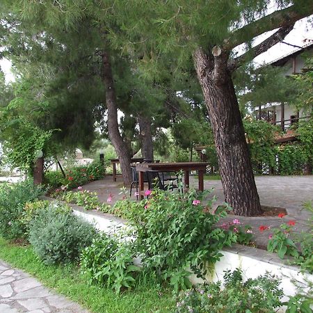 Para Thin Alos Inn Néosz Marmarász Kültér fotó
